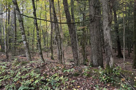 Unit for sale at 0 Baker Turn, Hartford, VT 05059