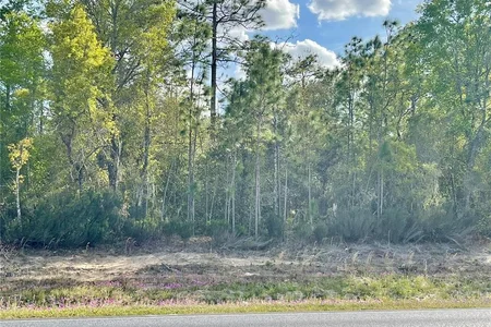 Unit for sale at TBD NE HIGHWAY 27 ALT, WILLISTON, FL 32696