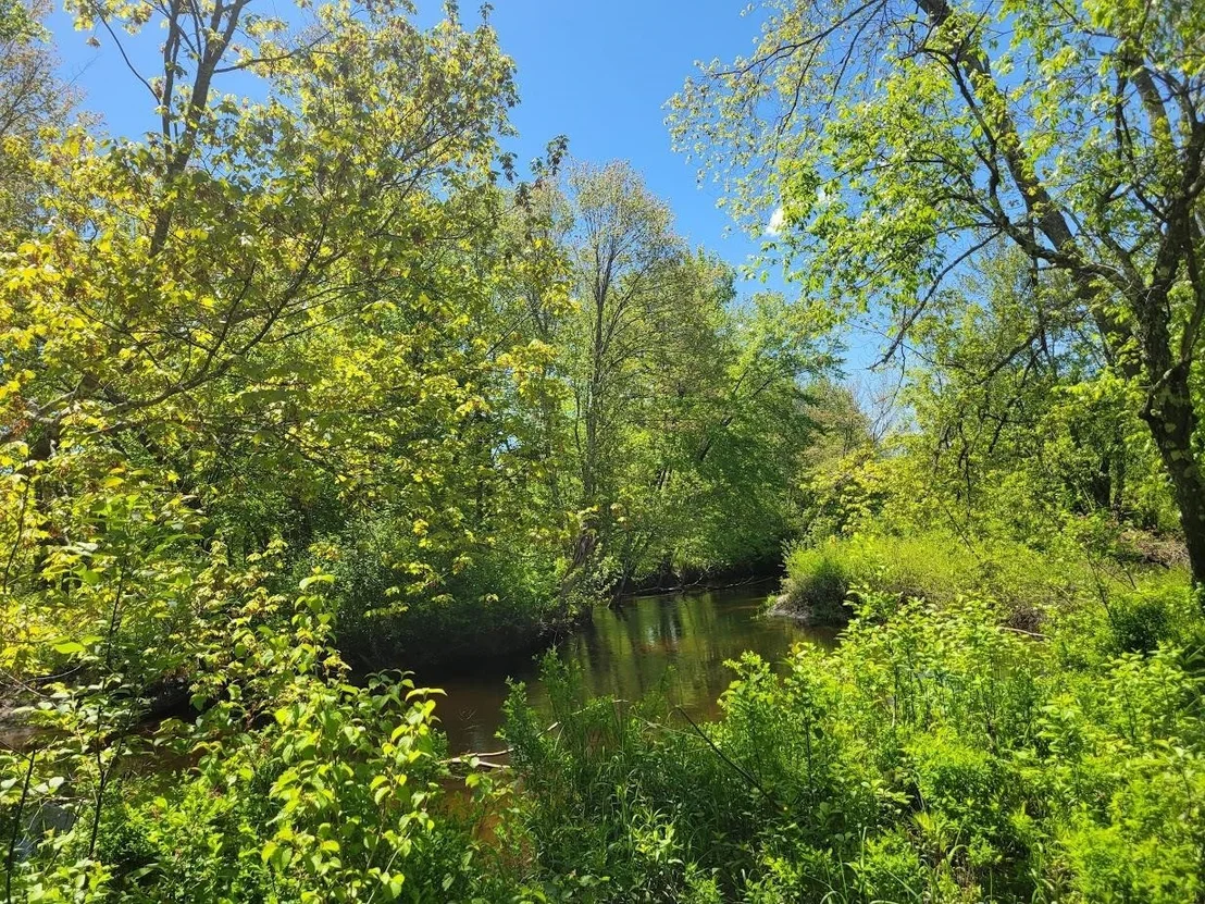 Photo of 00 Eastern District