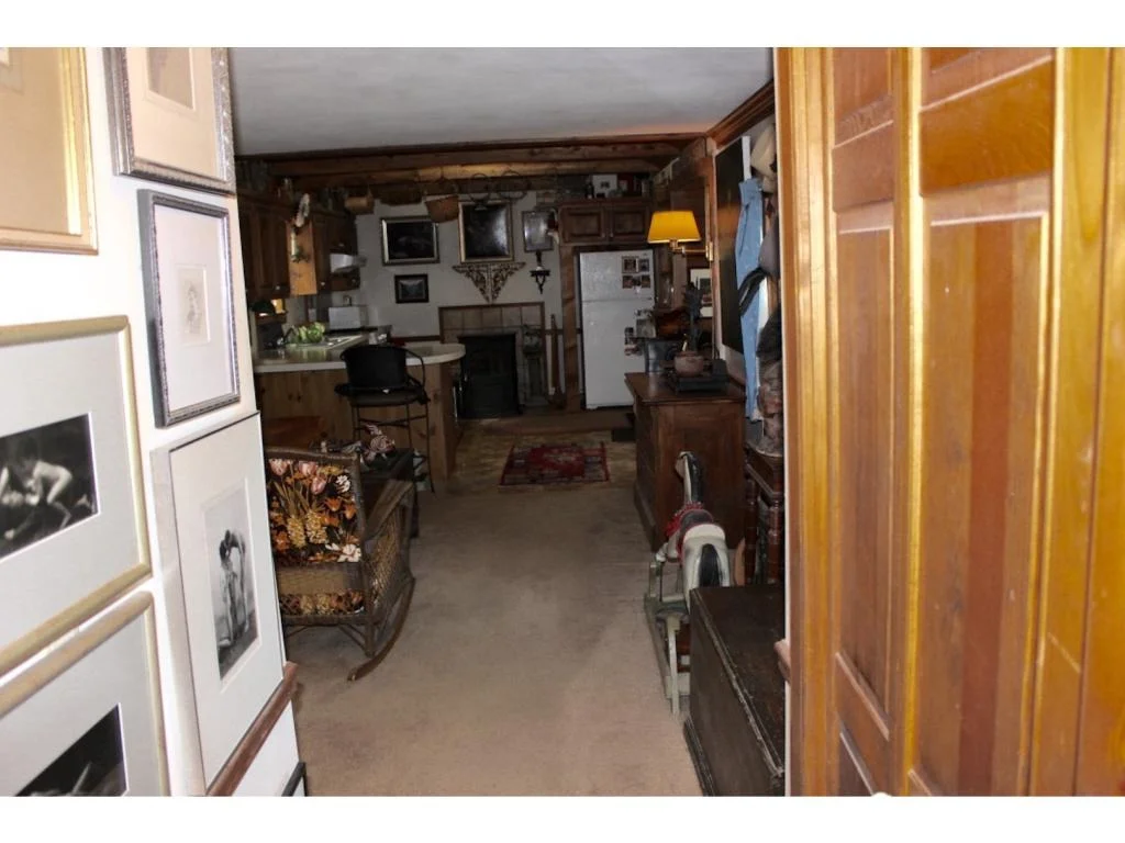 Photo of 3 Juniper