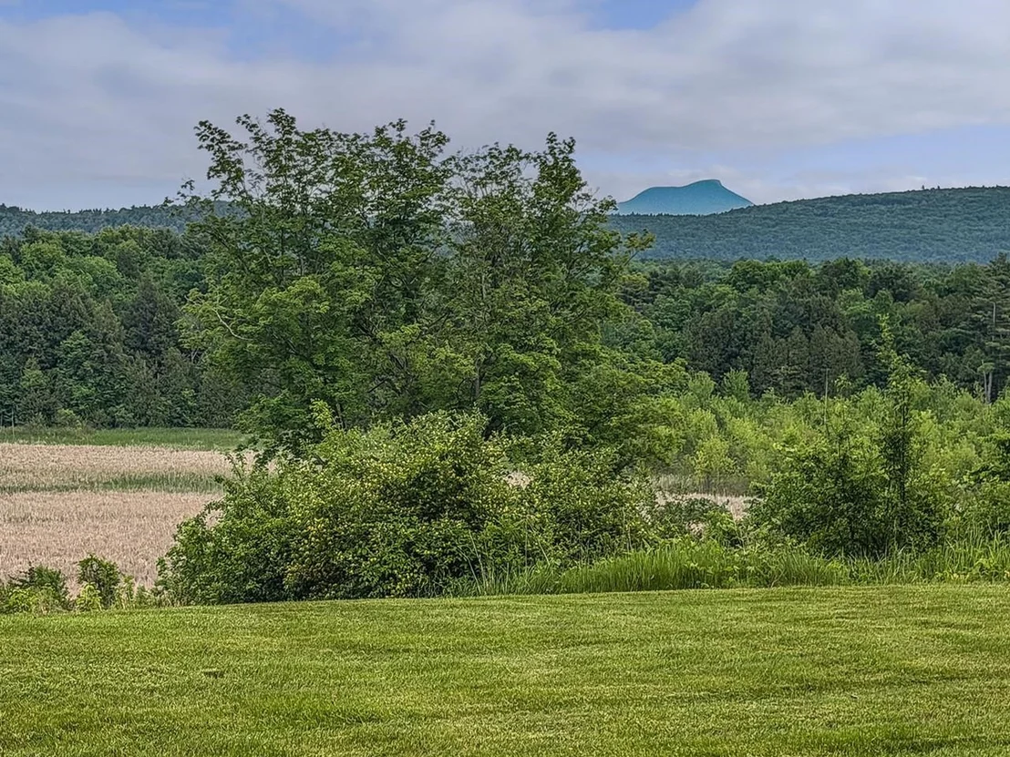 Photo of 94 Butternut