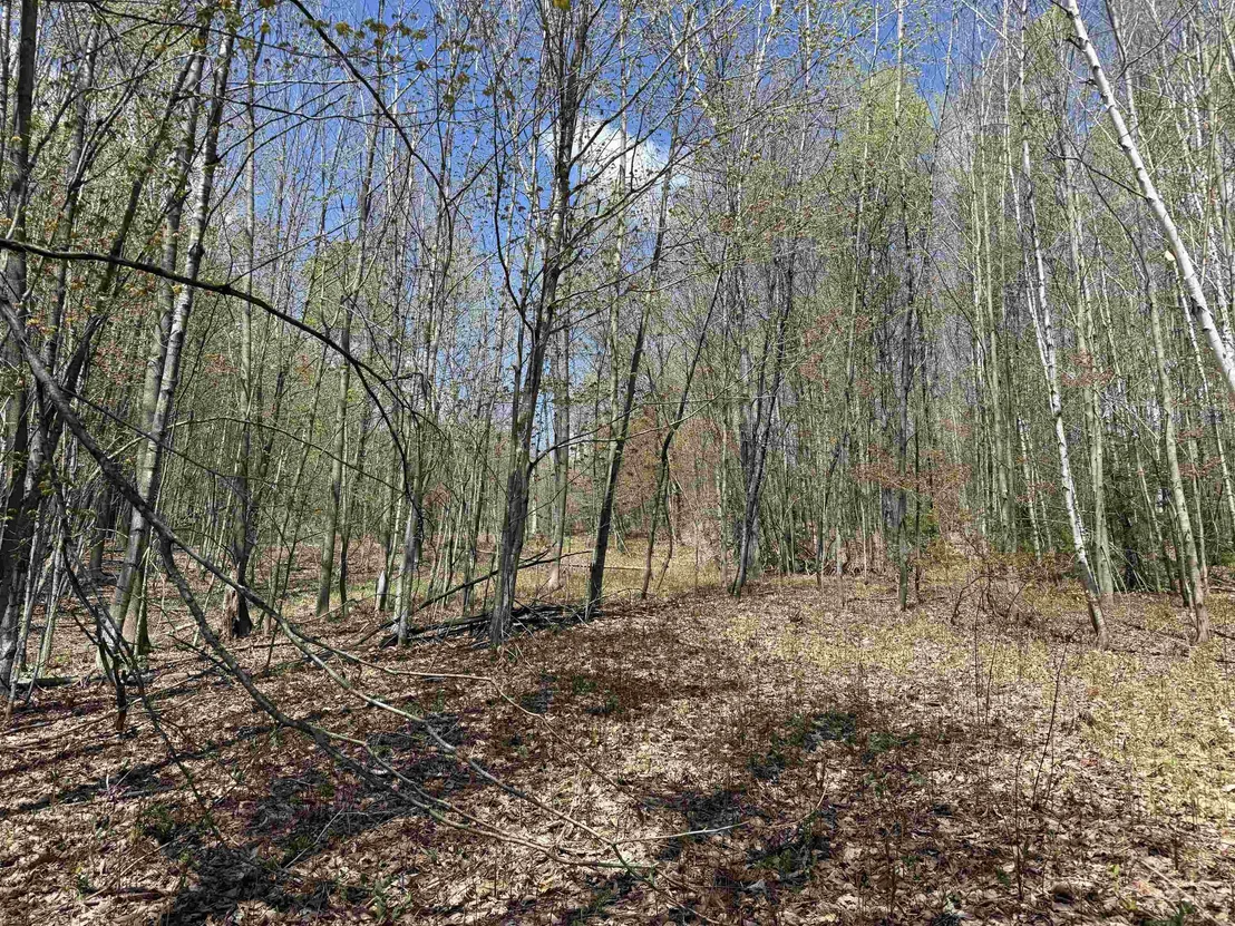Photo of 2527 Bent Hill