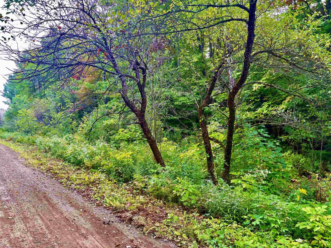 Photo of 0 Partridge Hollow