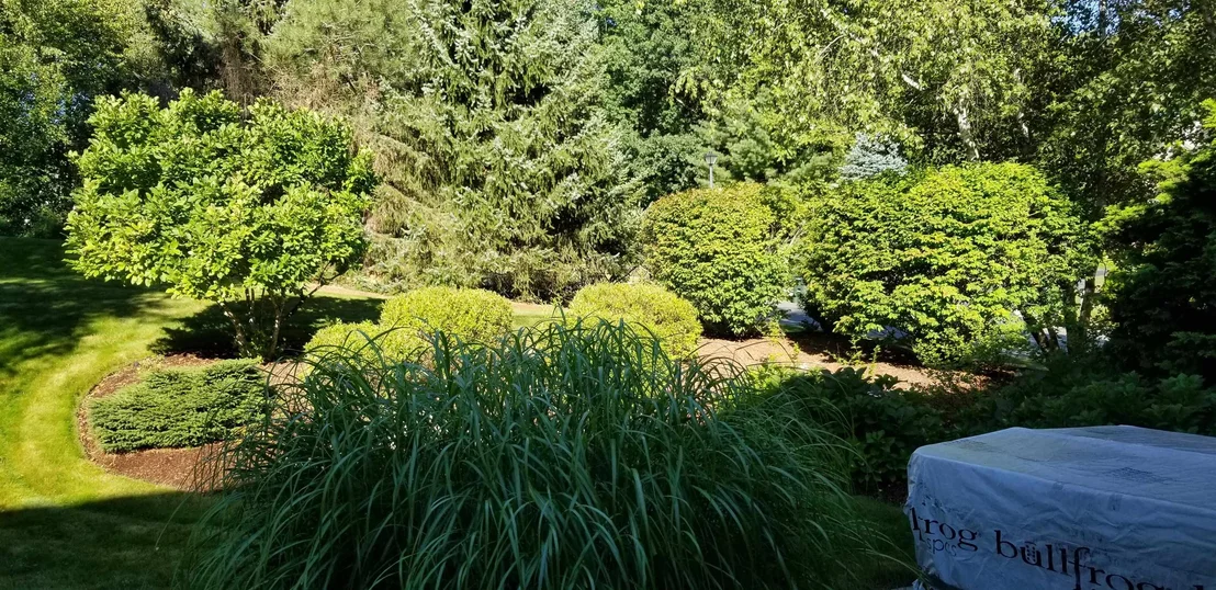 Photo of 32 White Pine