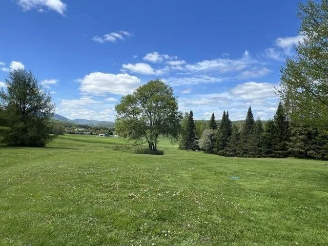 Photo of 12 Harry's