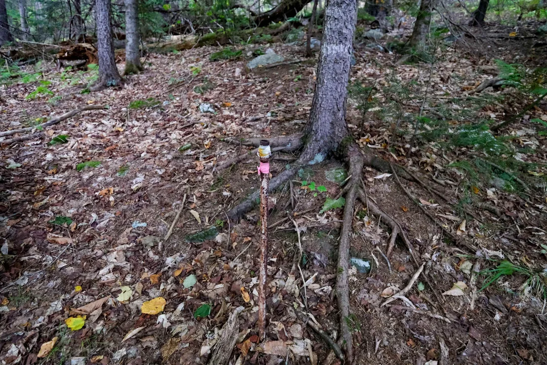 Photo of 00 Evergreen Acres