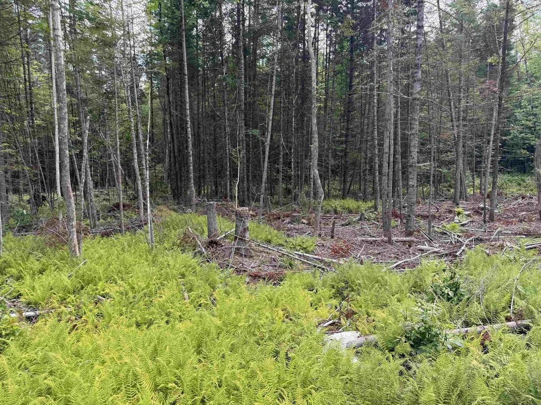 Photo of Lot 58 Pond Hill