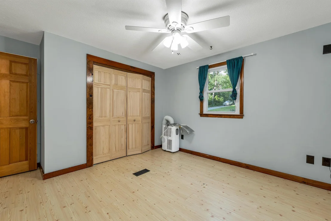 Photo of 30 Elderberry