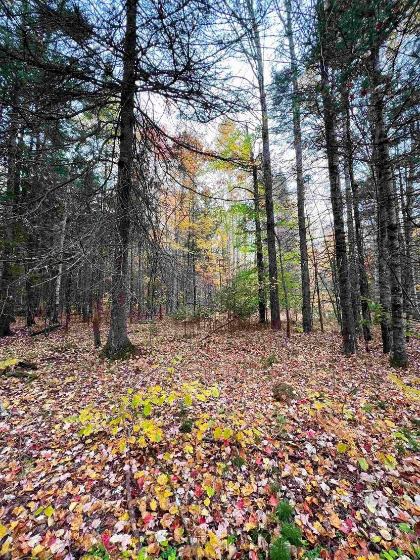 Photo of 408-105 Evergreen