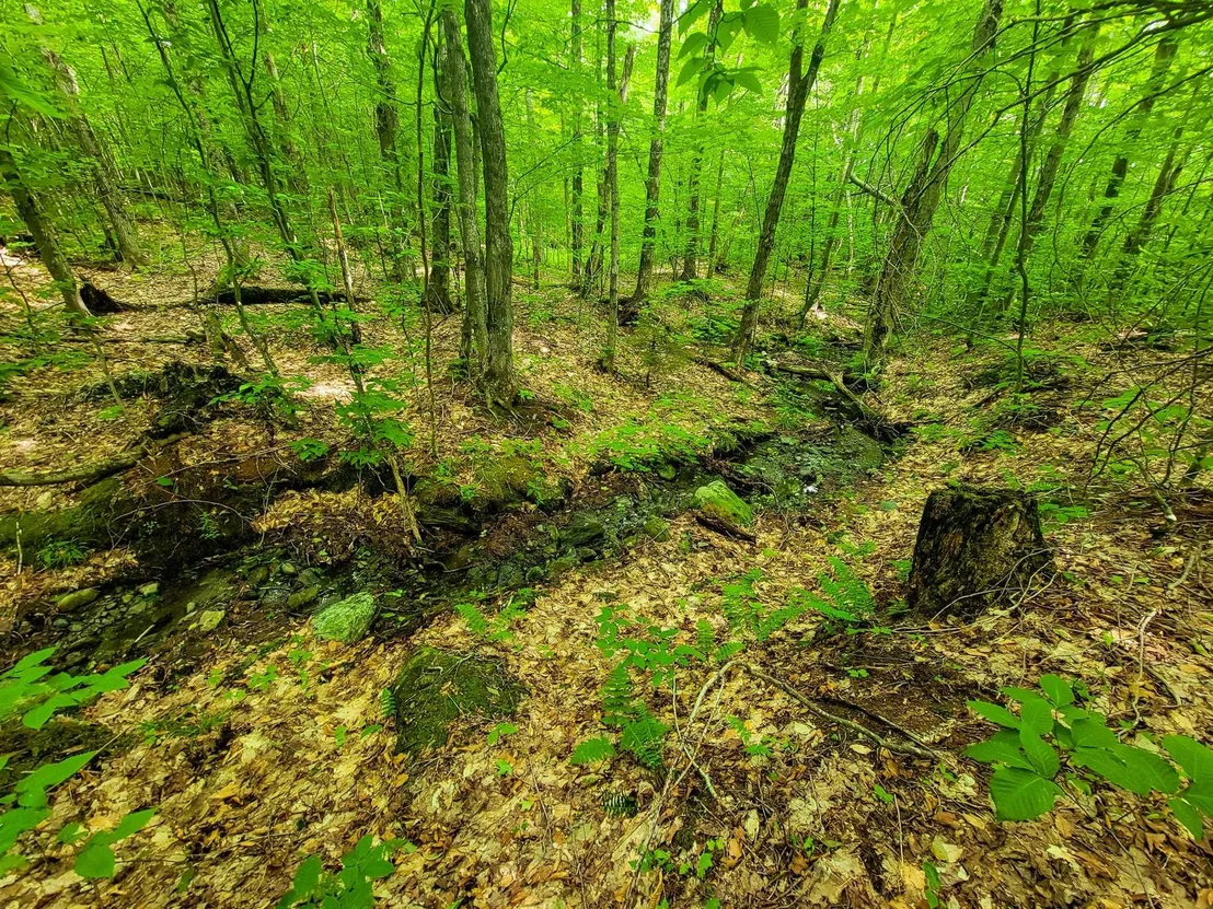 Photo of 4166 Mines
