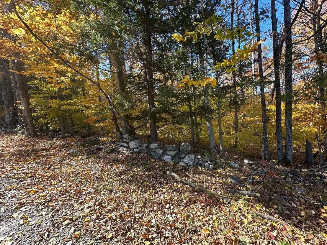 Photo of 184 Dupre