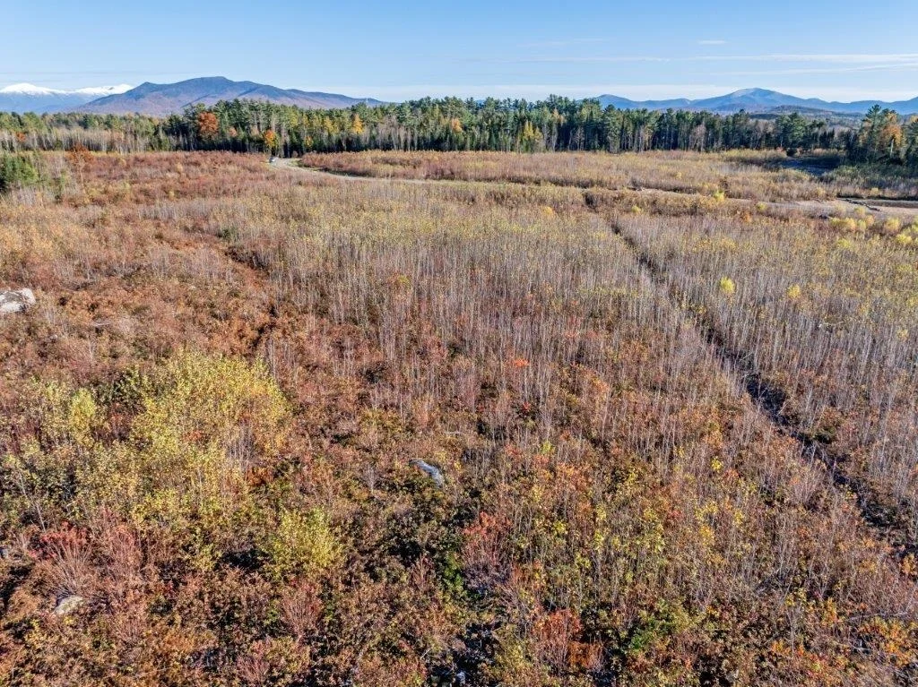 Photo of Lot 4 McIntyre