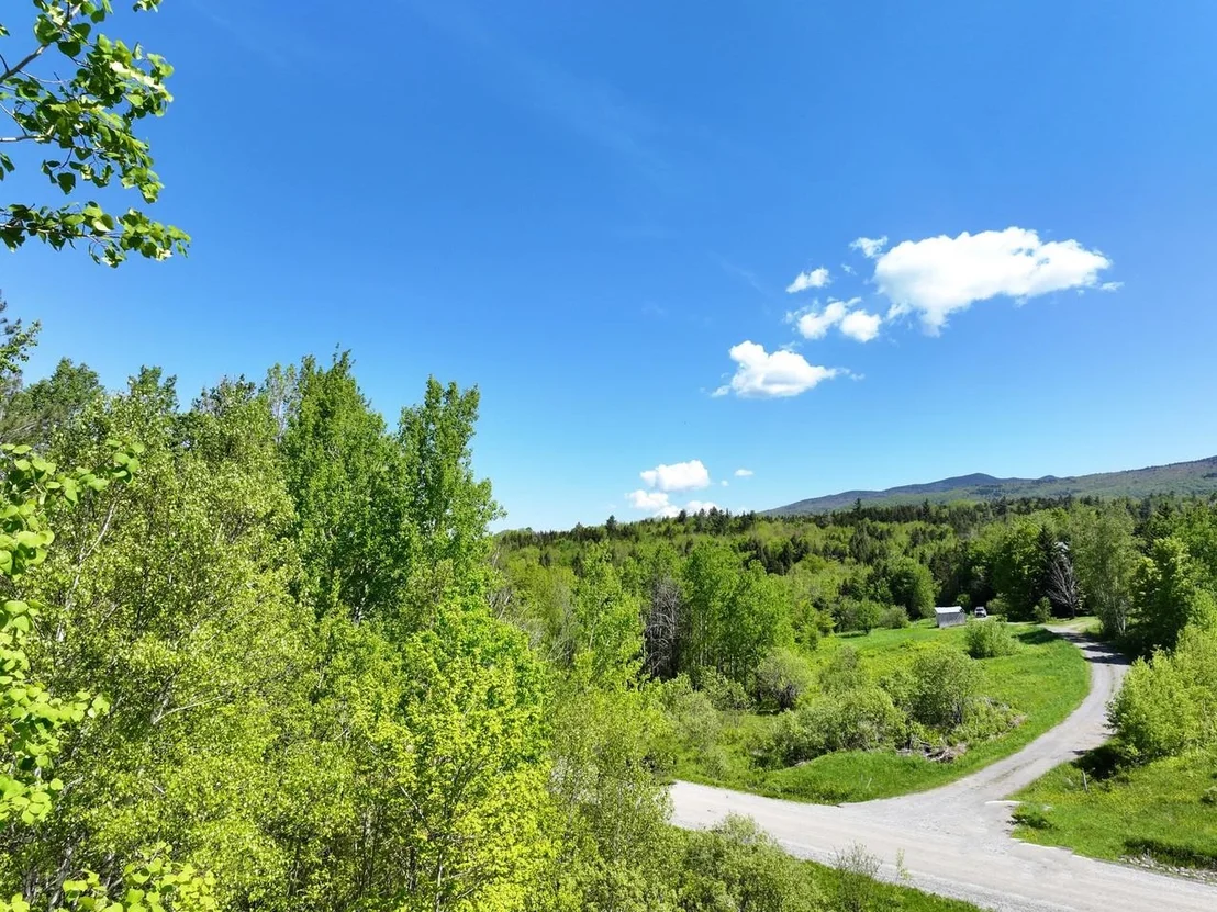 Photo of Lot 4 Weaver