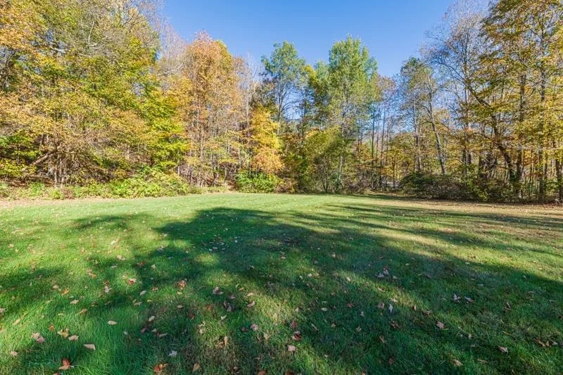 Photo of 1731 Three Maple