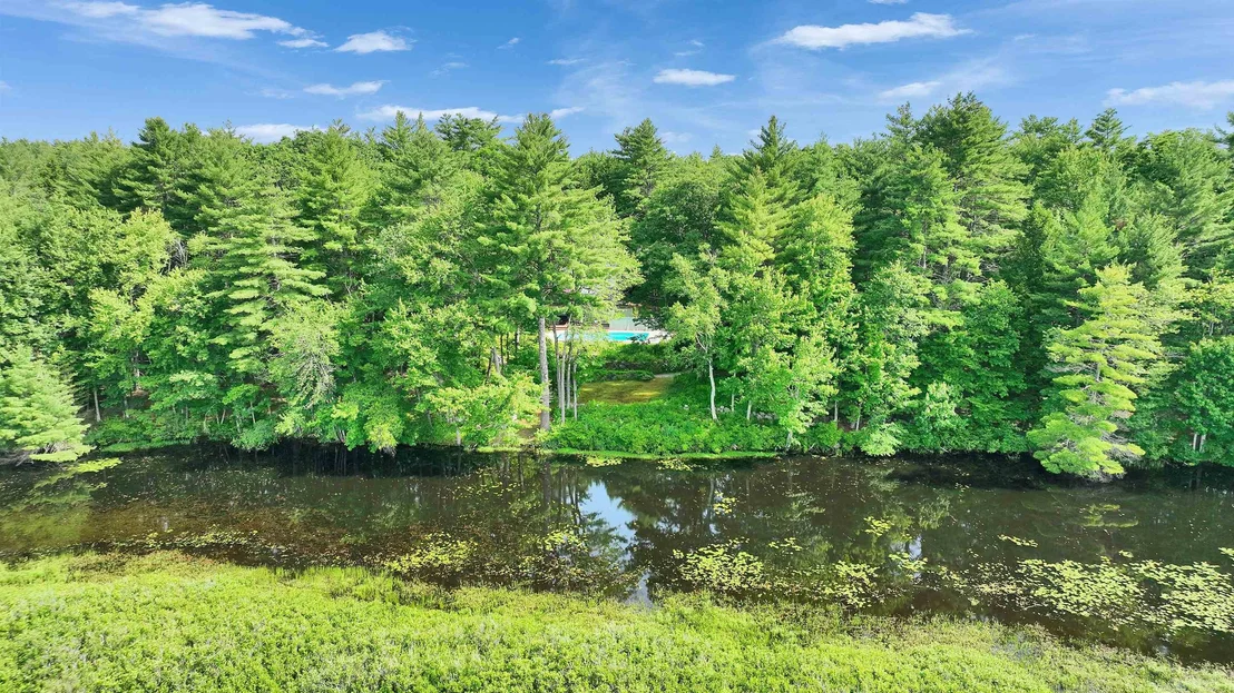 Photo of 261 Forest