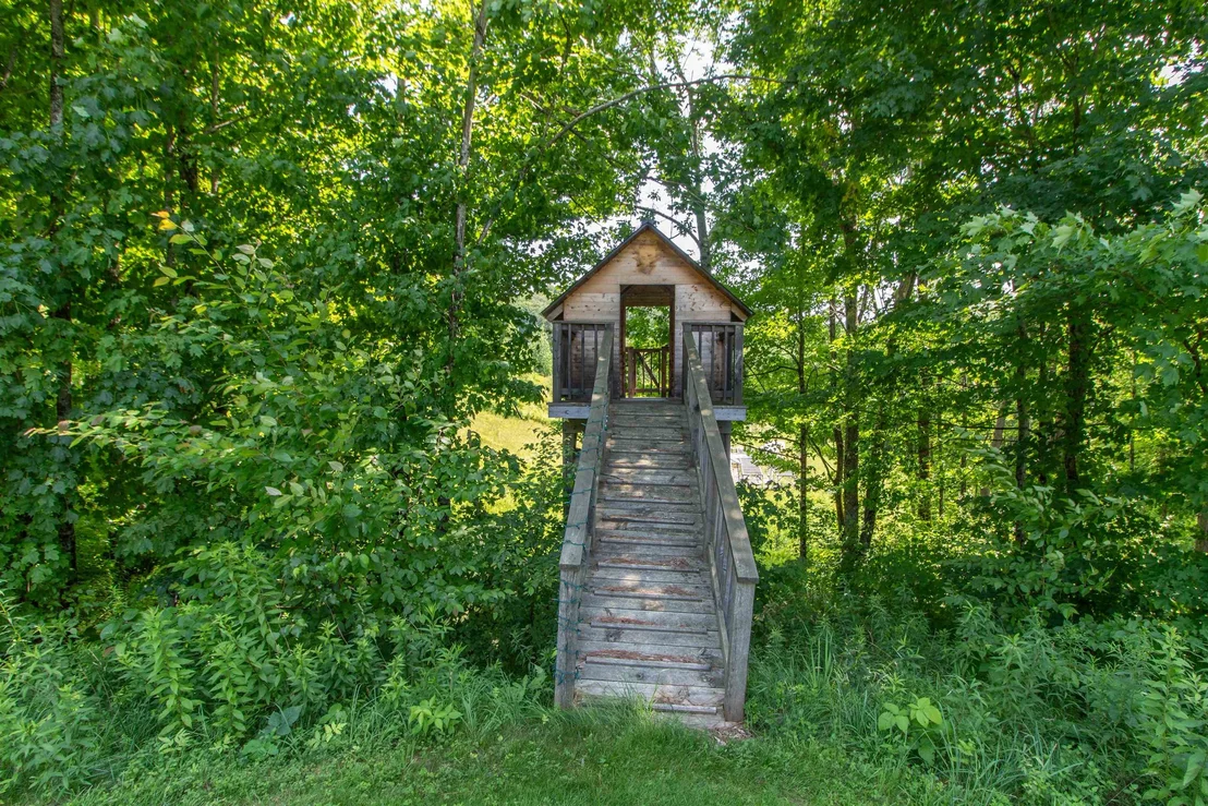 Photo of 501 Diggins