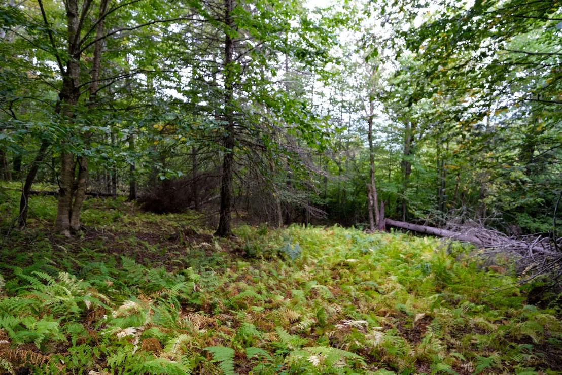 Photo of 00 Evergreen Acres