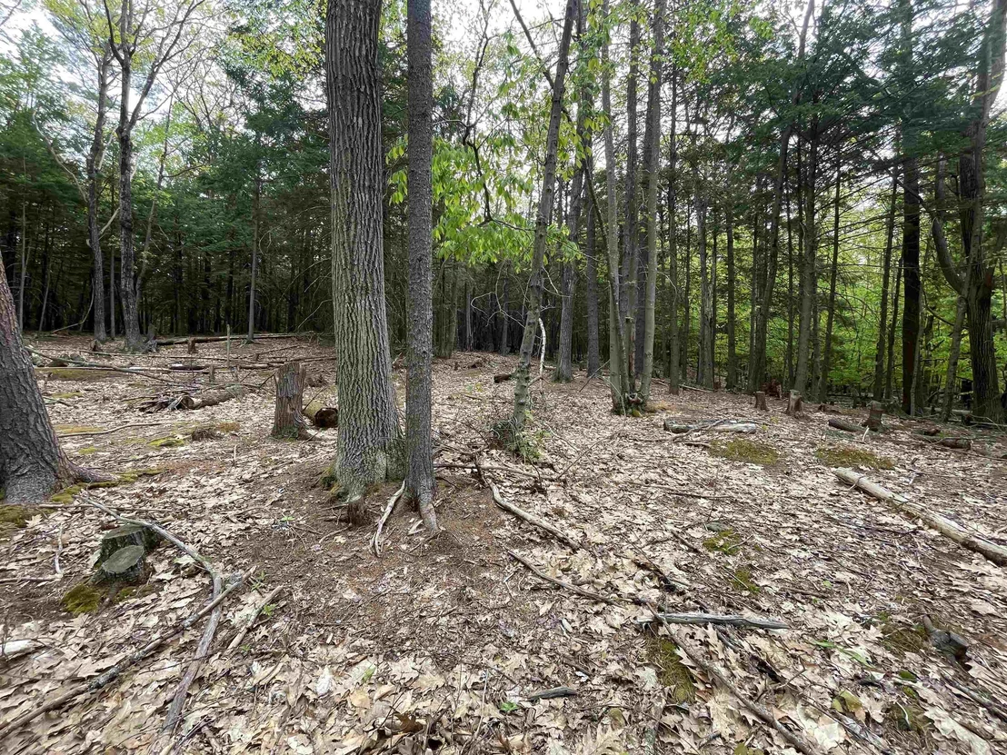 Photo of Map 212, Lot 49 Durrell Mountain