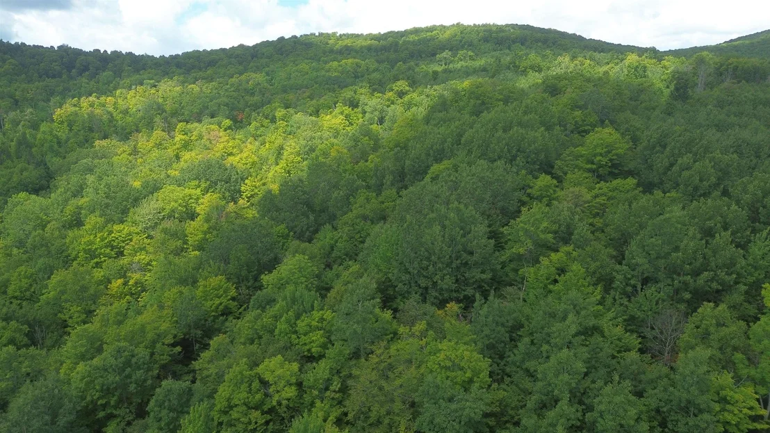 Photo of 0 Old Pond Hill