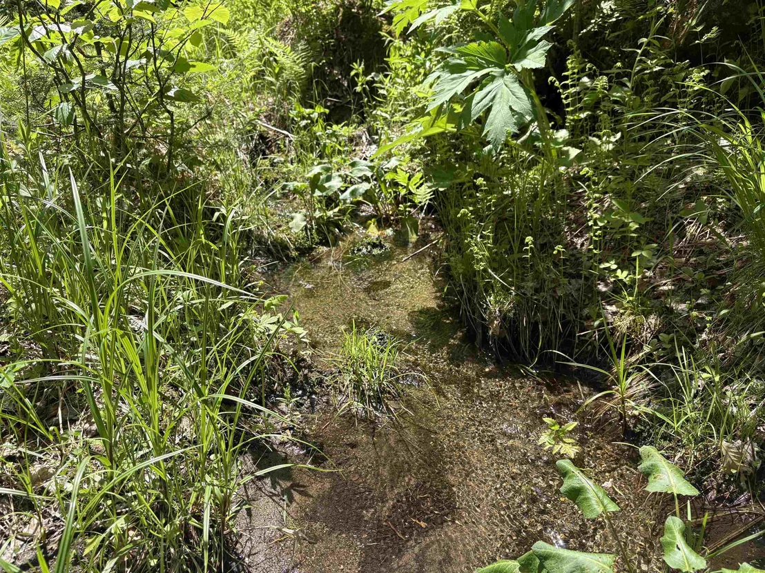 Photo of 0 Old Pond Hill