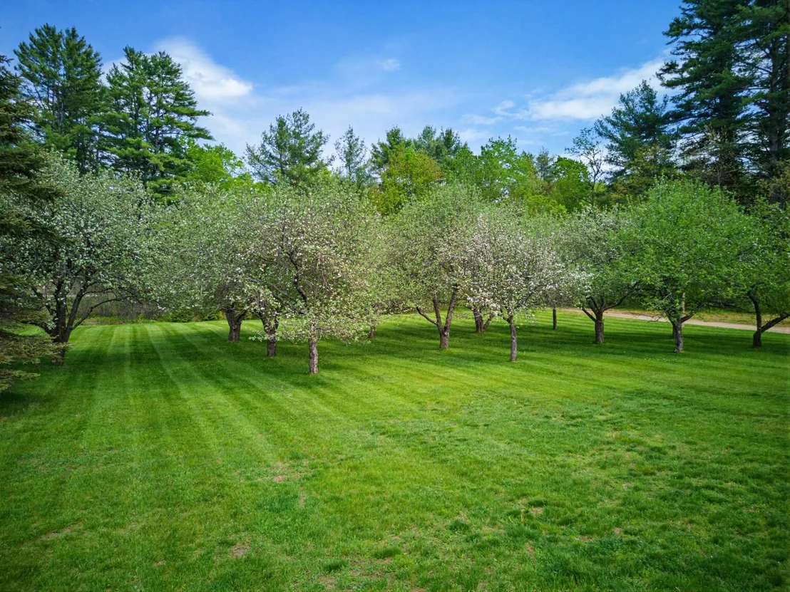 Photo of 84 New Hampton