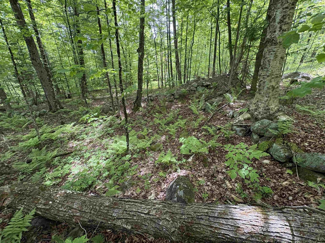 Photo of 0 Old Pond Hill