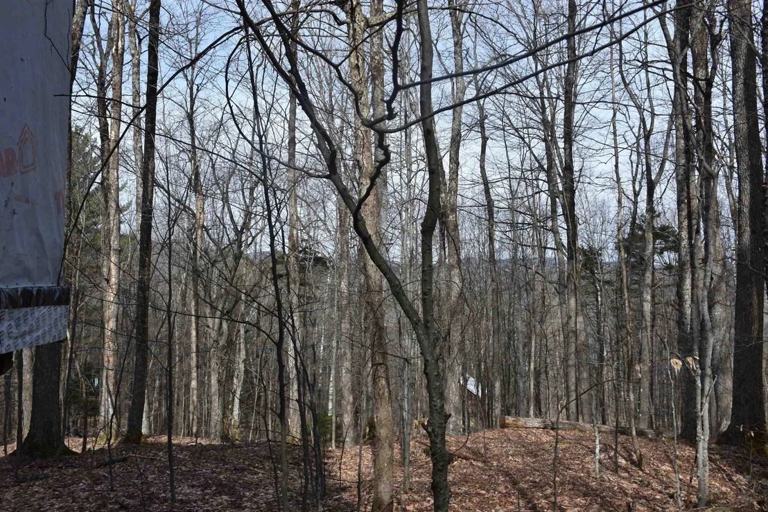 Photo of 397 Winch Hill