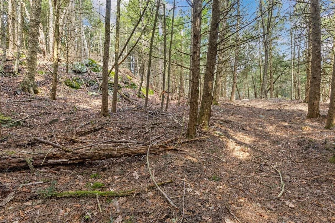 Photo of Lot 3 Hemlock