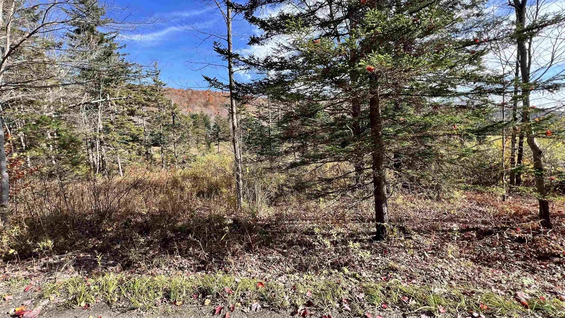 Photo of 2075 Codding Hollow