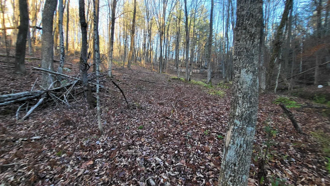 Photo of 535 Collar Hill
