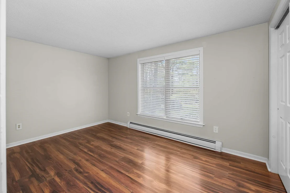 Photo of 3 Alder