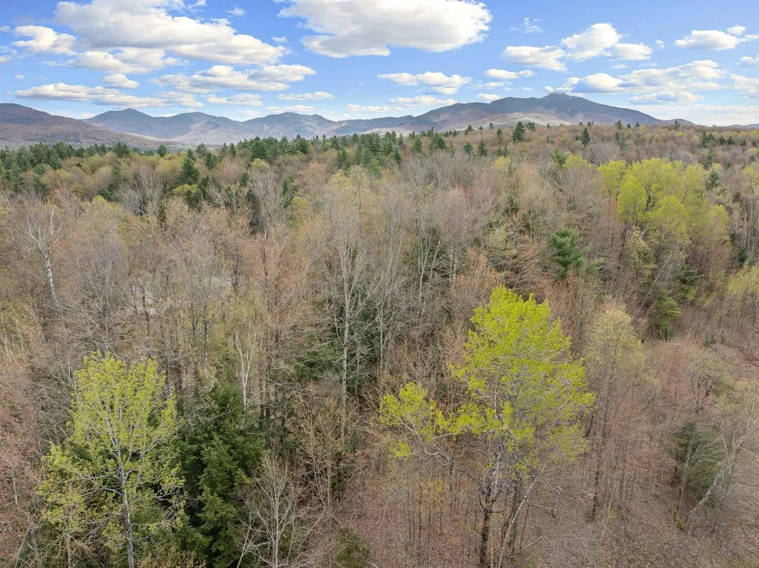 Photo of River View