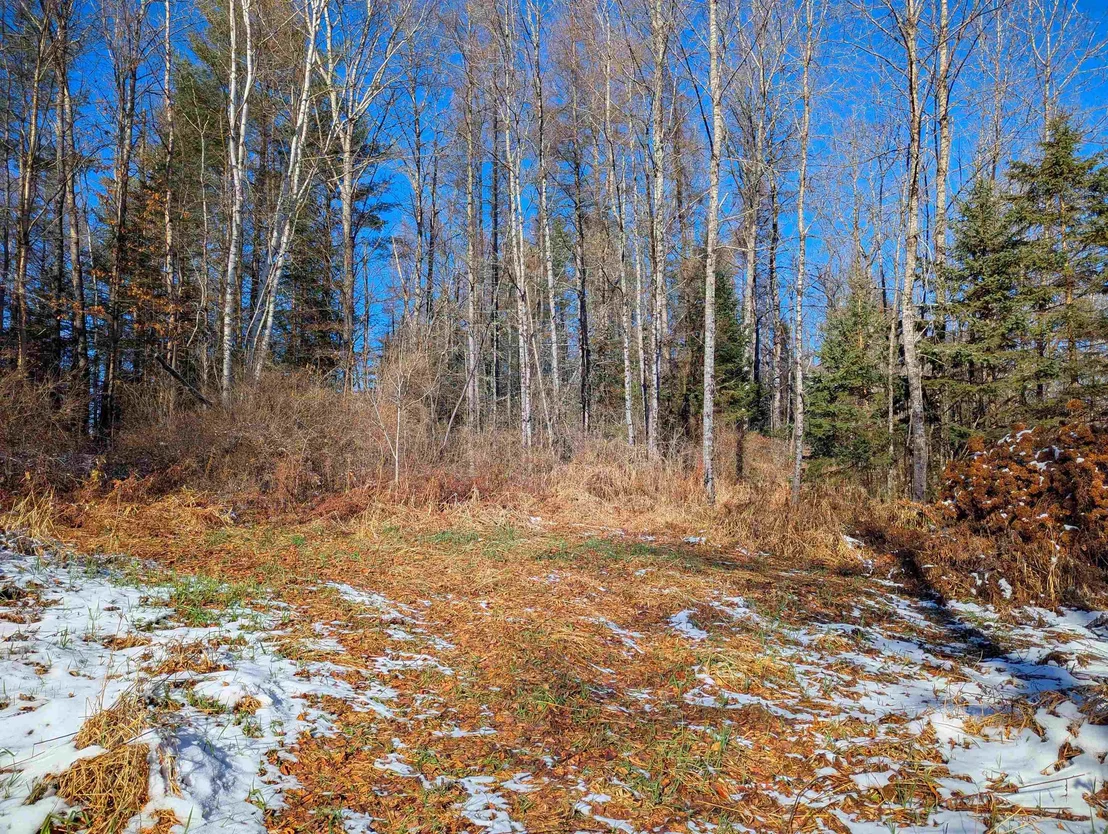 Photo of 00 Pudding Hill