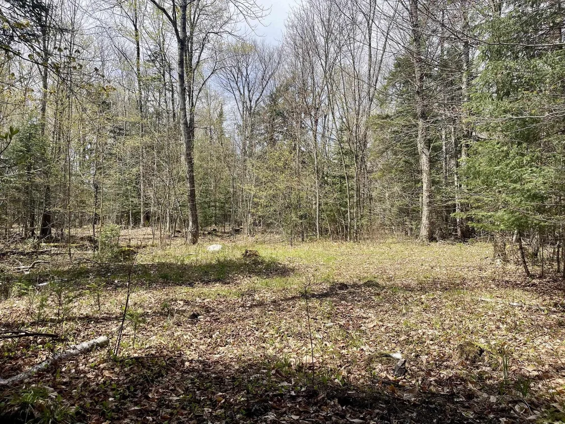Photo of 00 Peene Hill