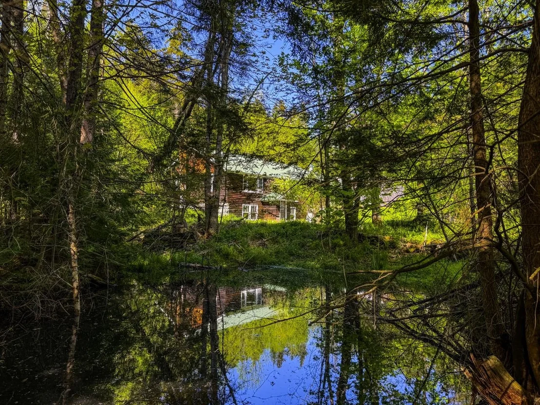 Photo of 297 Robinson