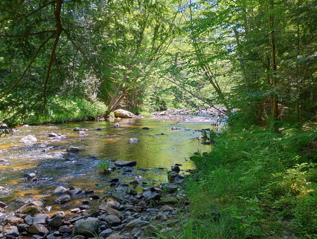Photo of 1011 US Route 4
