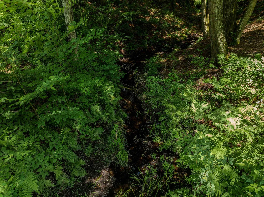 Photo of 105 Beaver Pond