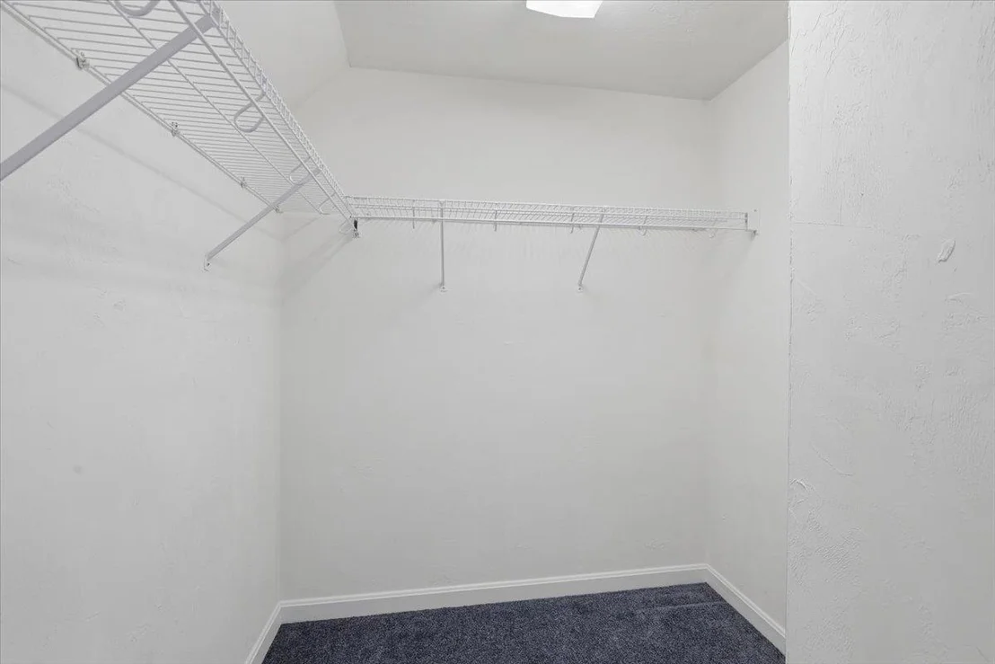 Photo of 770 Mammoth