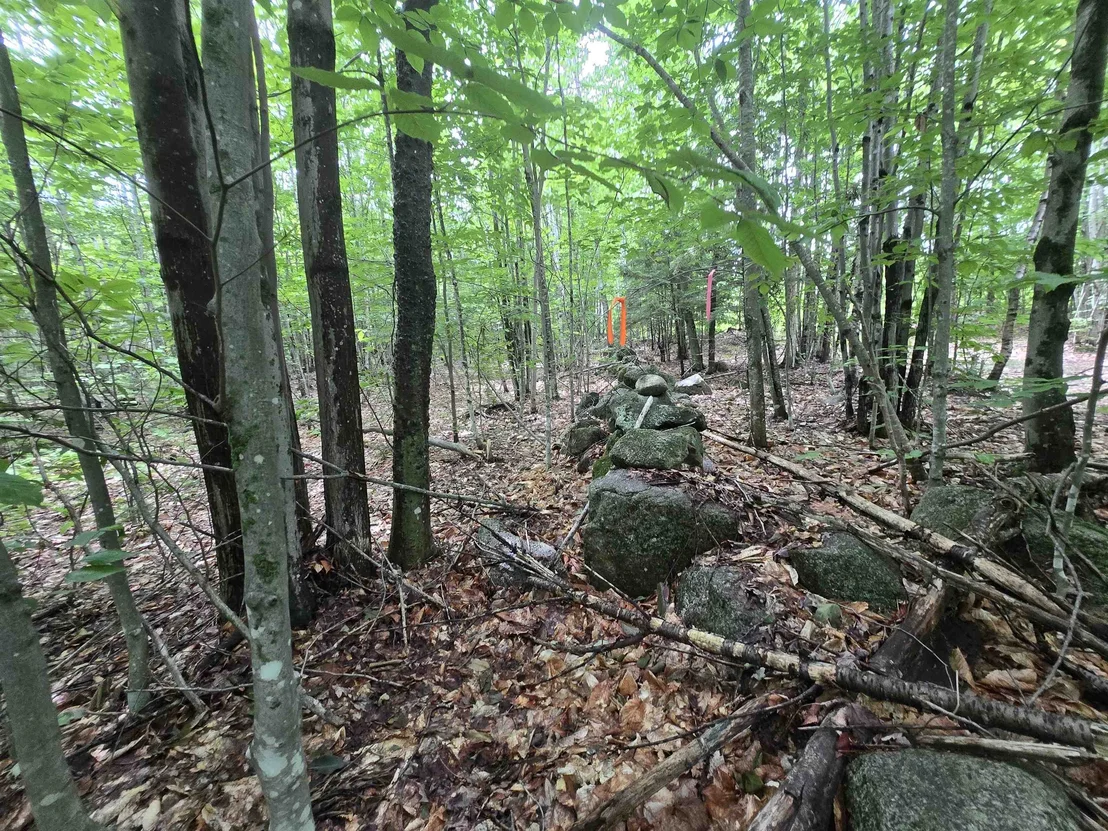 Photo of Lot 11 Brownfield