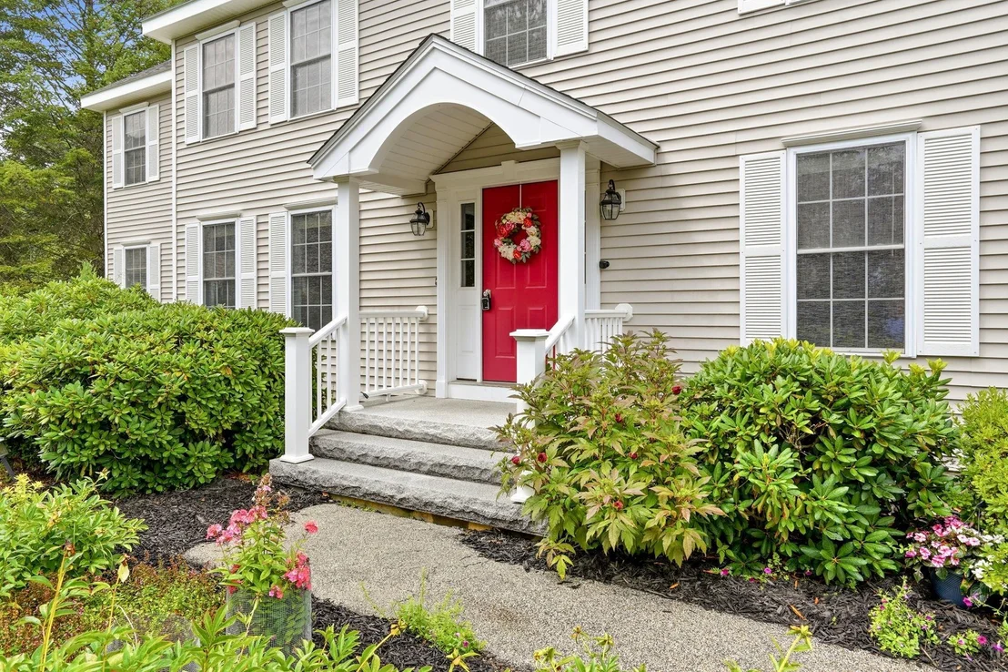 Photo of 14 Sweet William