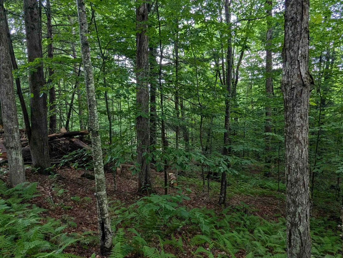 Photo of Unit LOT4 at 0 Dover