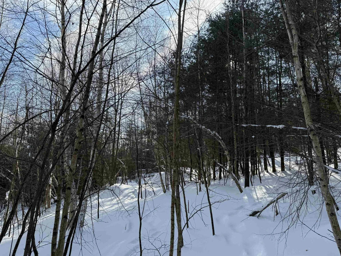 Photo of Unit 12 at 19 Stone Ridge