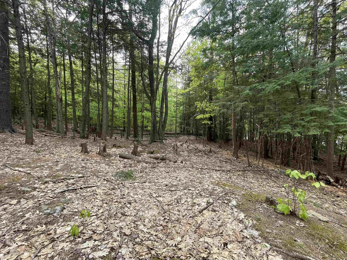 Photo of Map 212, Lot 49 Durrell Mountain