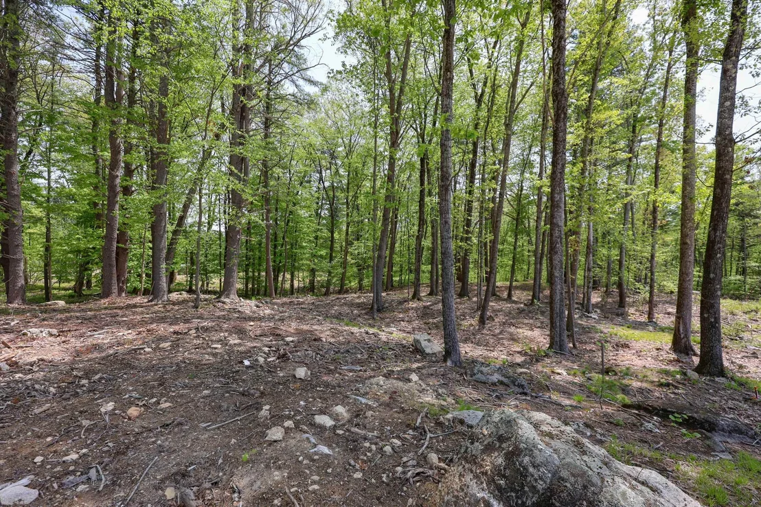 Photo of Unit MAP14LOT449 at 44-9 Olympus