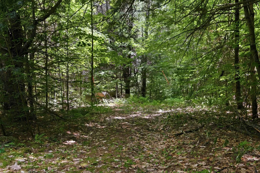 Photo of Unit MAP16LOT64 at 00 NH Route 103 West