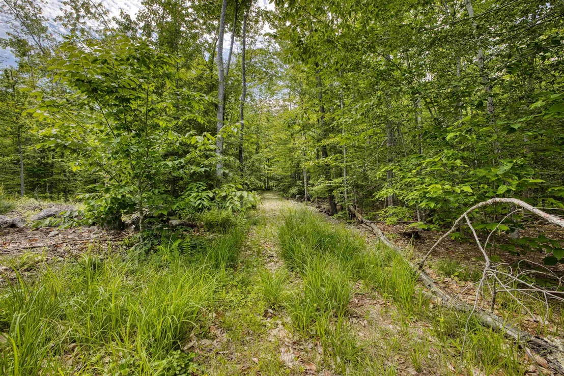 Photo of 160 Browns Ridge
