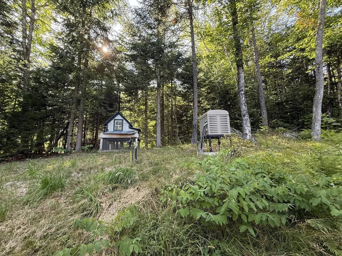 Photo of 70 Tamarack