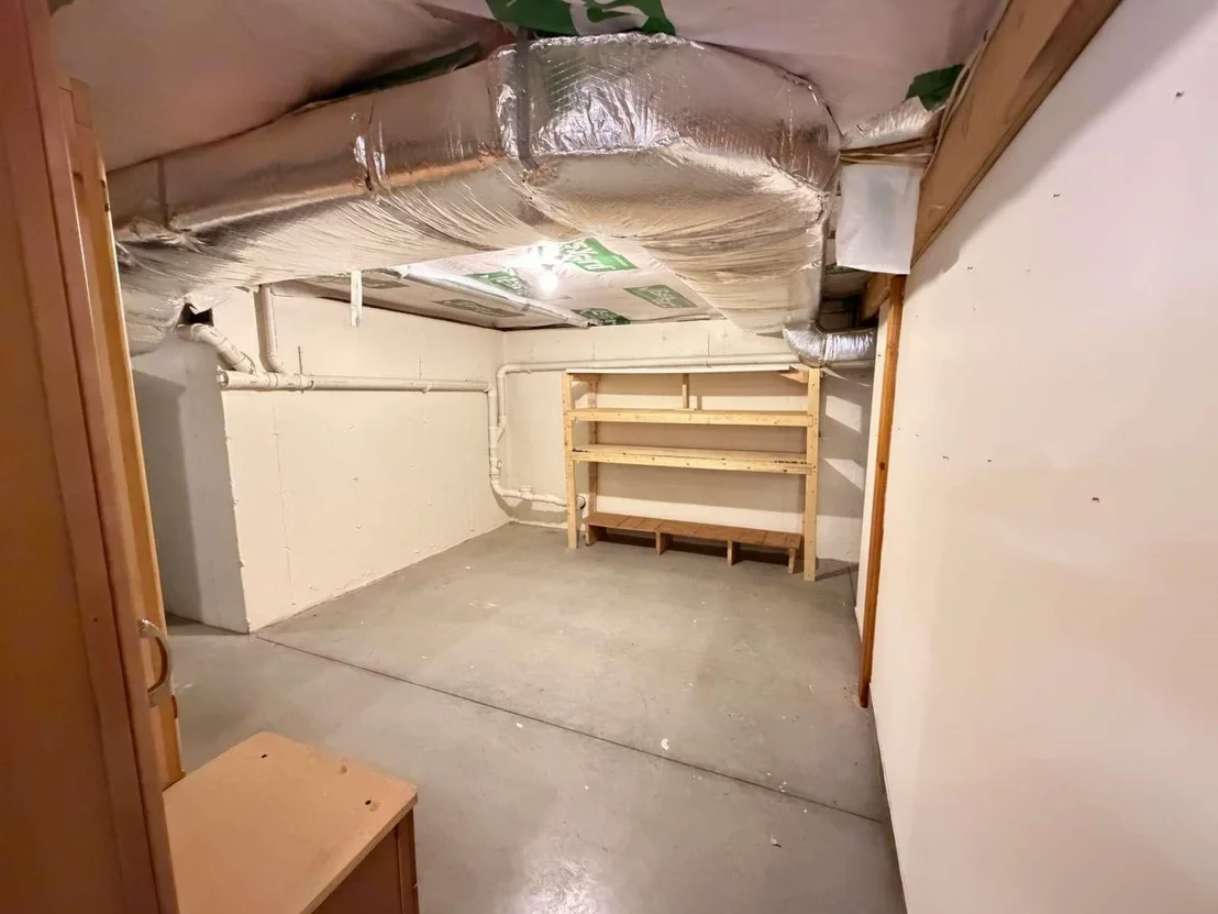 Photo of 314 Mammoth