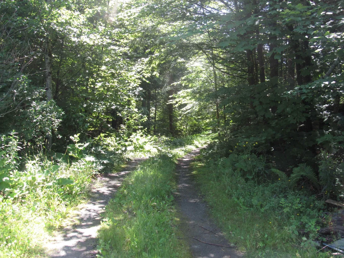 Photo of 1239 Baldwin Brook