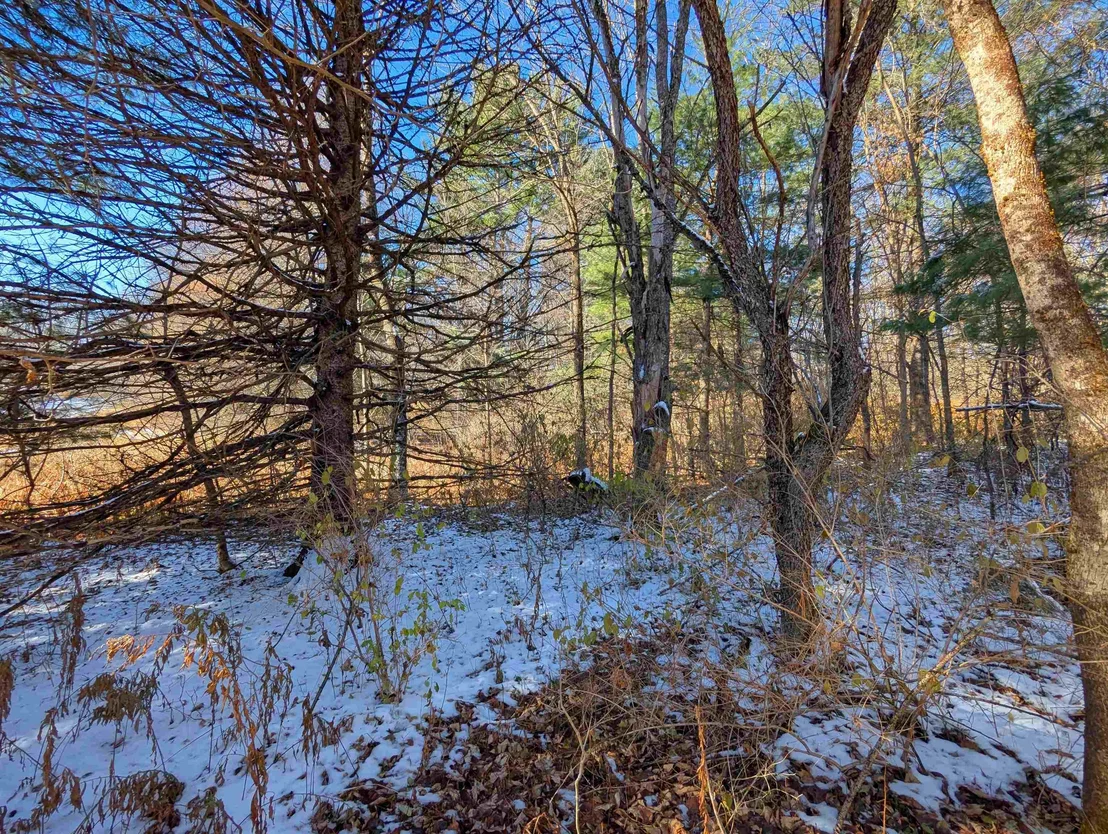 Photo of 00 Pudding Hill